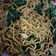 Cooksnap dari Mita Kurnia untuk resep Mi goreng jawa ala hajatan