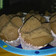 Cooksnap dari Irda Radha untuk resep BOLU COKLAT KUKUS UNIK