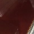 صورة من إحساس ، شاركها بعد تجربة وصفة كيكة اللبن مع كريم كراميل