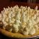 El cooksnap de Emii Mattos cuando hizo Lemon Pie.