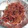 Pankti Baxi Desai's cooksnap of when they made વેજ હક્કા નુડલ્સ (Veg Hakka Noodles Recipe In Gujarati).