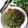 Cooksnap dari Syahara Kitchen untuk resep Nasi Goreng Daun Kelor Gercep