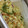 Zarah Modibbo's cooksnap of when they made Simple Cabbage Sources.