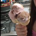 El cooksnap de Luana Sorelio cuando hizo Helado casero en casa.