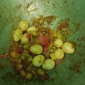 Cooksnap dari Ririnn Agustinaa untuk resep Kentang balado puyuh