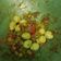 Cooksnap dari Ririnn Agustinaa untuk resep Kentang balado puyuh