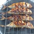 Cooksnap dari Rica R untuk resep Kembung Bakar Terasi