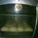 Cooksnap dari Christin Elga untuk resep Roti Sobek Super Lembut