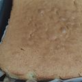 El cooksnap de Ian Calderon cuando hizo Bizcochuelo de vainilla con chips de chocolate.