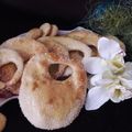 کوک اسنپ مهراوه بعد از امتحان کردن کعک عصرونیه.