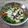 El cooksnap de Patricia Moyes cuando hizo Caesar Salad (ensalada césar).