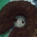 Cooksnap dari Siti Mahmulah untuk resep Brownis kukus cocolatos