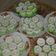 Cooksnap dari Aya Nurhayanti untuk resep Putu ayu cantik