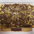 Amber Keeling's cooksnap of when they made Cheesy Beef and Hashbrown Casserole.