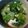 Cooksnap dari wiwi rita haryani untuk resep pakcoy cah tofu