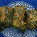 Bina Talati's cooksnap of when they made પાત્રા (Patra Recipe In Gujarati).