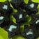 Cooksnap dari dhian untuk resep Brownies kukus praktis
