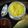 Twinkal Kalpesh Kabrawala's cooksnap of when they made મગ ની દાળ ખીચડી (moong dal khichdi recipe in gujarati).