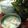 Sujata Bhowmick Mondal's cooksnap of when they made দই বড়া (doi bora recipe in bengali).