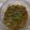 Sangita Vyas's cooksnap of when they made આખા ગુવાર નું શાક (Akha Guvar Shak Recipe In Gujarati).