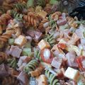 Nancy 's cooksnap of when they made Italian Pasta Salad.