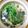Lucy 的 莧菜貢丸蛋花湯 cooksnap