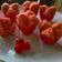 Cooksnap dari Mildarenikitchen untuk resep Kue Mangkok