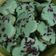 Cooksnap dari Rezki Andriani untuk resep Bolu Pandan Lembut (Panggang Cetakan Kue Lumpur)