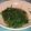 Cooksnap dari Nina Karina untuk resep Tumis Kangkung