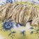 El cooksnap de Marieta cuando hizo Boquerones en vinagre.