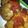 Bintaefi's cooksnap of when they made Momma's Cabbage rolls.