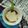 Cooksnap dari Maharani@dapurkecil untuk resep Bubur Sumsum