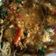 Cooksnap dari Rima D. Anggraeni untuk resep Seblak Mie Telur