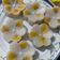 Cooksnap dari Catherine Ling untuk resep Nagasari Pisang Kepok