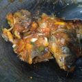 Cooksnap dari Dian Dulari untuk resep Nila Asam manis pedas