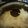 hurricanetee4650e's cooksnap of when they made Crock pot Lasagna.