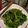 hsin hua 的 防疫料理上菜囉！清炒芥藍 cooksnap