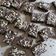 Cooksnap dari Rosyita Rahareng untuk resep Brownies almond cookies