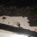 El cooksnap de Antonio Escandon cuando hizo Brownie económico y fácil.