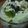 Cooksnap dari Renny Azfah untuk resep Homemade Strawberry Ice Cream