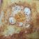 Cooksnap dari Yunita DR untuk resep Egg in the hole