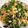 Cooksnap dari Renny untuk resep Urap teri medan