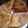 Maggie Karis's cooksnap of when they made Pumpkin Chapati.