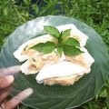 Cooksnap dari ichafahrurnisa untuk resep Tahu Bakso Ayam Blender untuk Bakso Malang