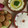 El cooksnap de Alka Bhandari cuando hizo Falafel bowl en freidora de aire.