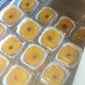 Cooksnap dari Linda Linda untuk resep Lumpur Labu Kuning
