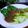Cooksnap dari Puri Pawon untuk resep Pokcoy Garlic