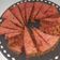 Cooksnap dari Ika Oktavia untuk resep Cake Bit Wortel