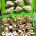 Cooksnap dari ichabeld untuk resep Batagor Aci Pangsit