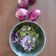 Kirtana Pathak's cooksnap of when they made કોથમીર ની લીલી ચટણી (Kothmir Lili Chutney Recipe In Gujarati).